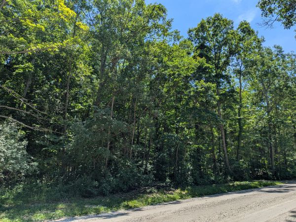 15320 Larsen Avenue NE, Gowen, MI 49326
