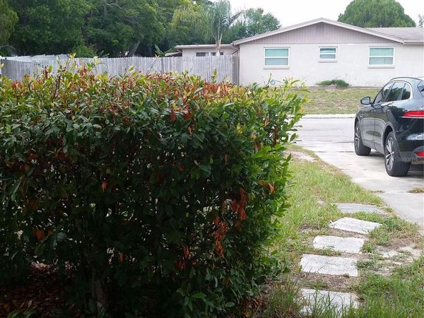 7725 ROTTINGHAM ROAD , PORT RICHEY, FL 34668