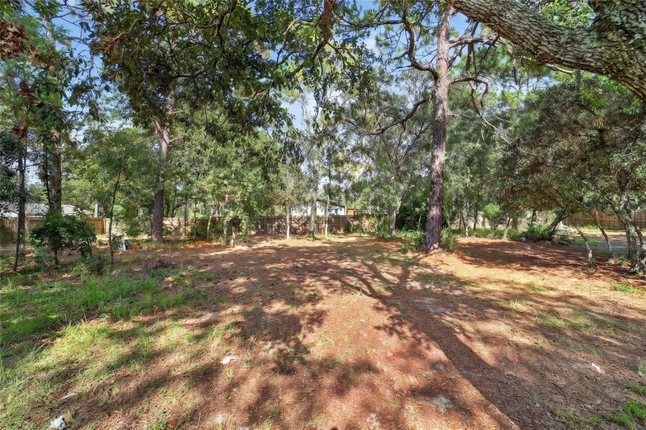 4842 W Nester Court, Homosassa, FL 34446 Photo