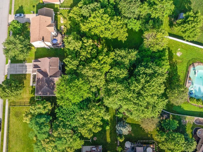 1449 Whispering Pines Drive, Hebron, KY 41048 Photo 45