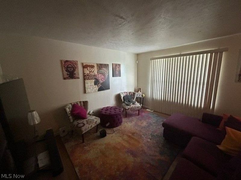 2163 E 46th Street, Cleveland, OH 44103 Photo 11