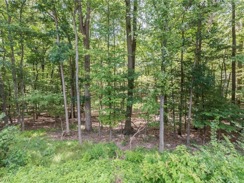 7020 Carriage Hill Drive, Unit 202, Brecksville, OH 44141 Photo 43