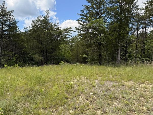 Lot 2 Walker Cemetary Road, Bulls Gap, TN 37711