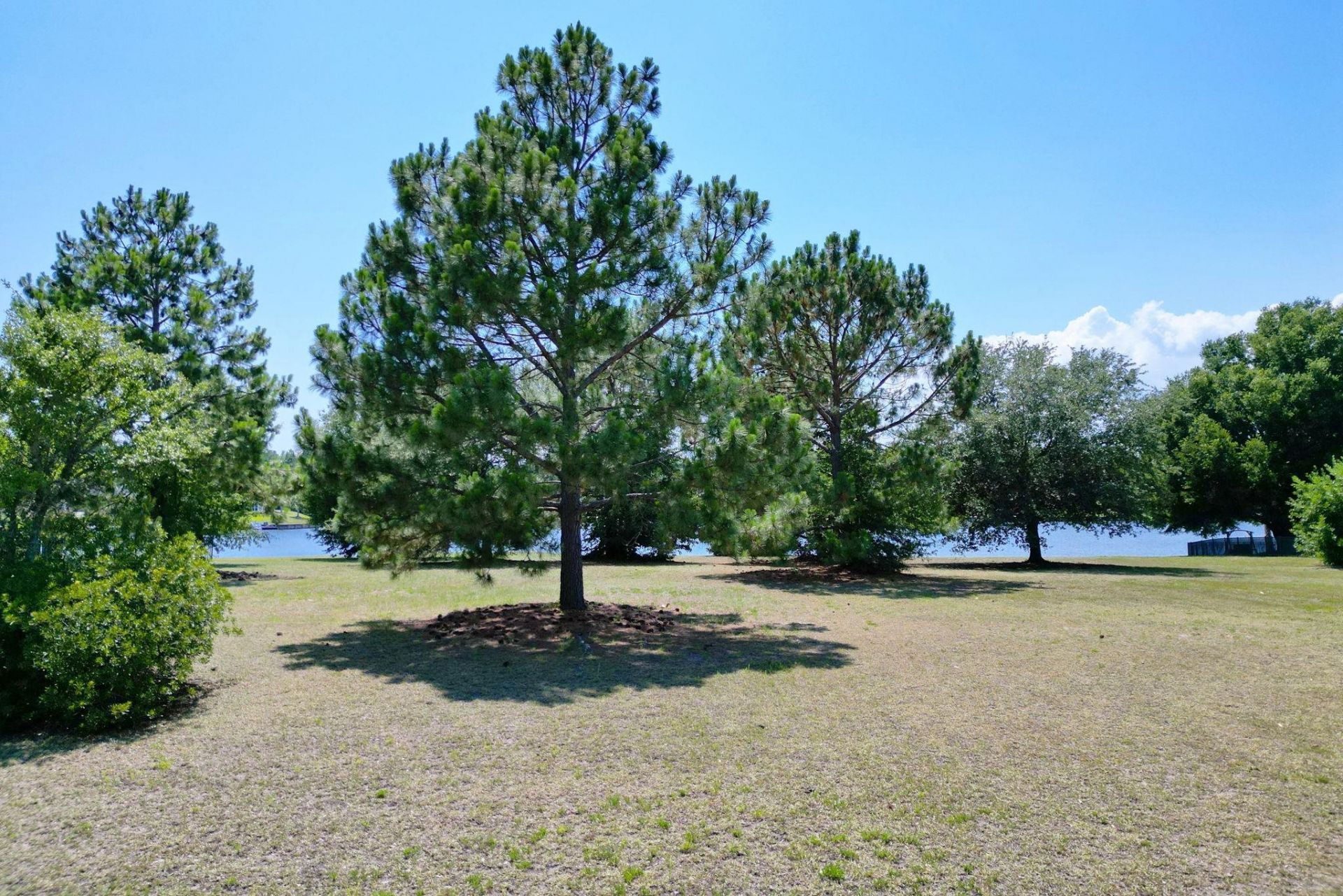 1113 Glossy Ibis Dr. Photo 15