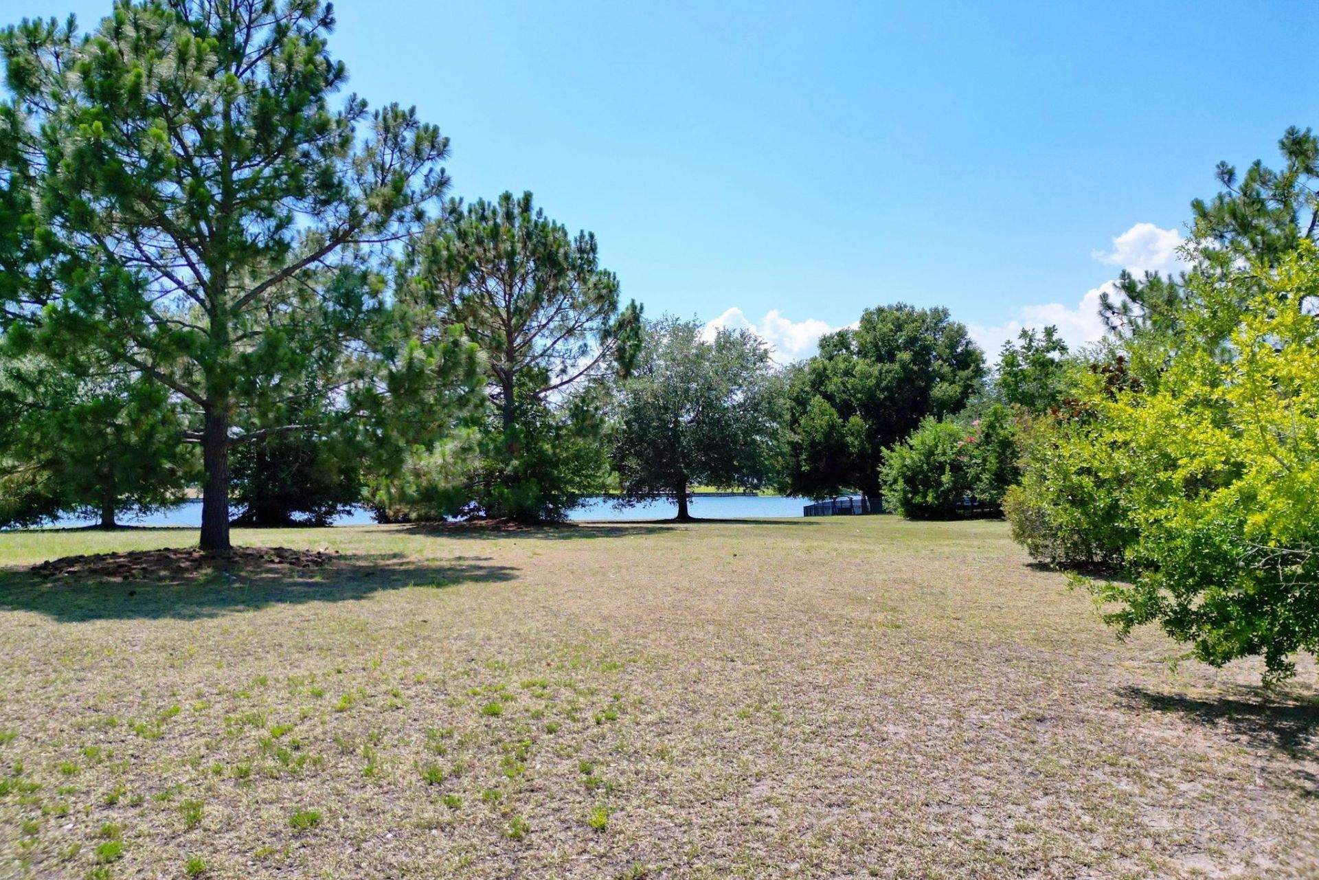 1113 Glossy Ibis Dr.  Photo 16