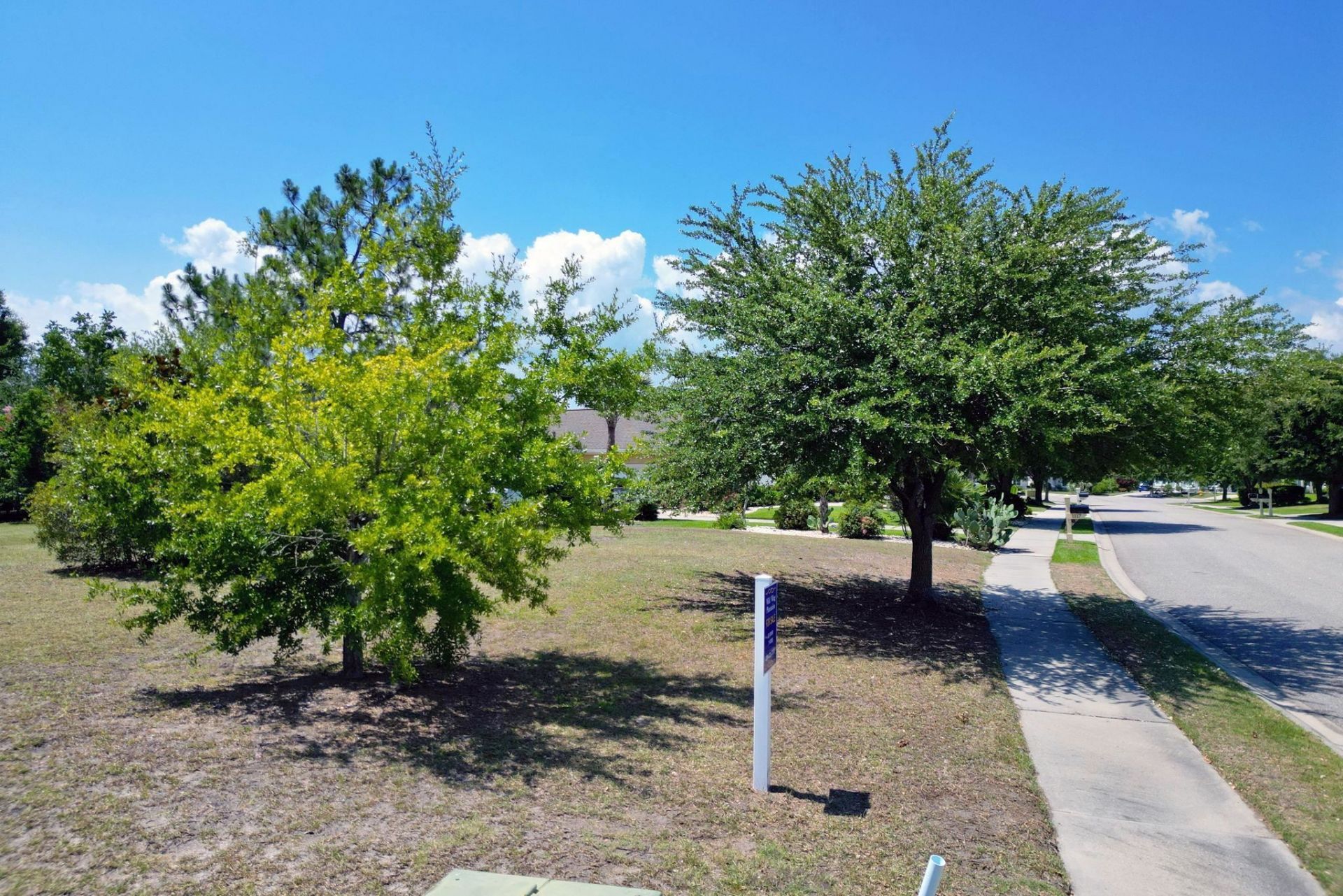 1113 Glossy Ibis Dr.  Photo 17