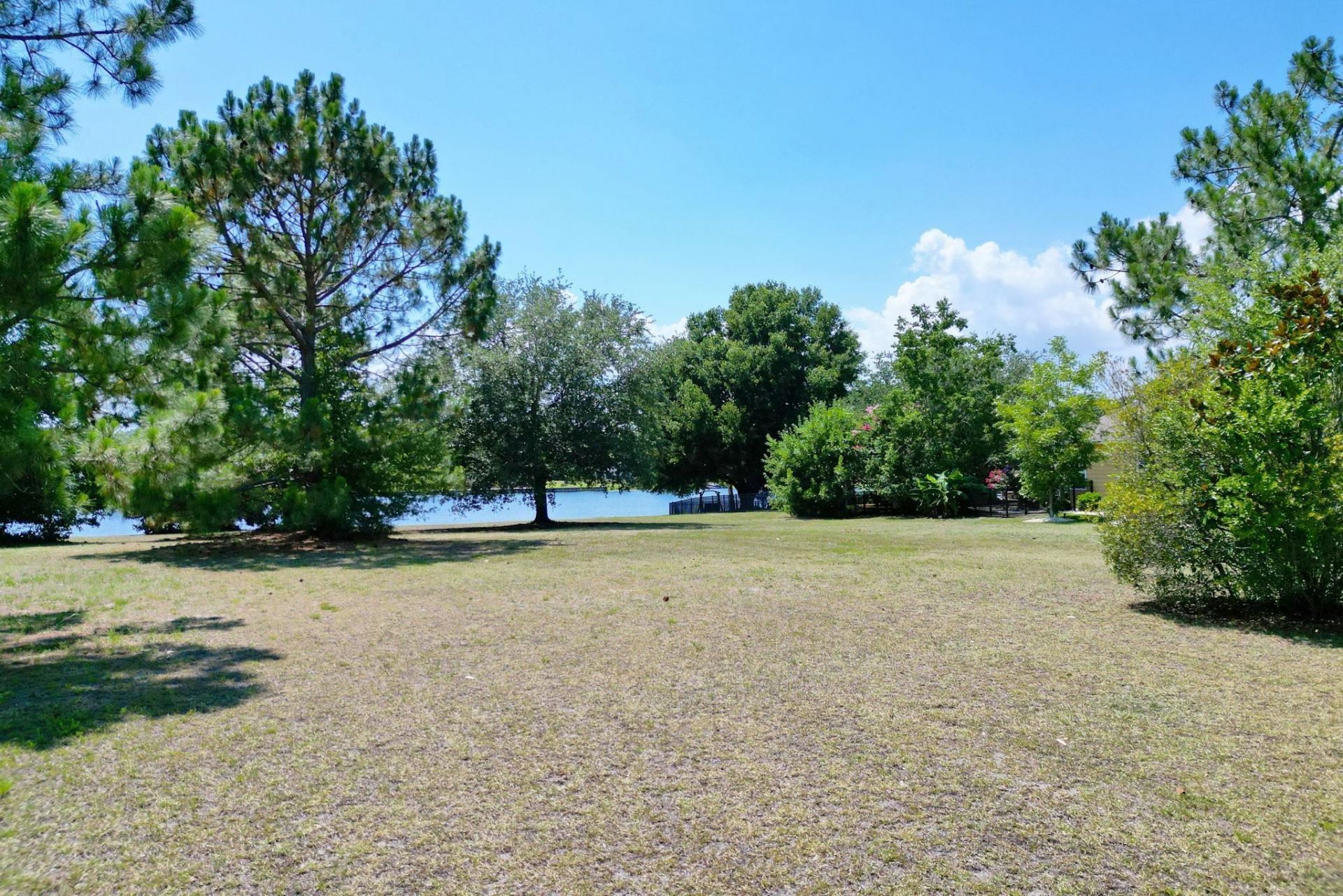 1113 Glossy Ibis Dr. Photo 18
