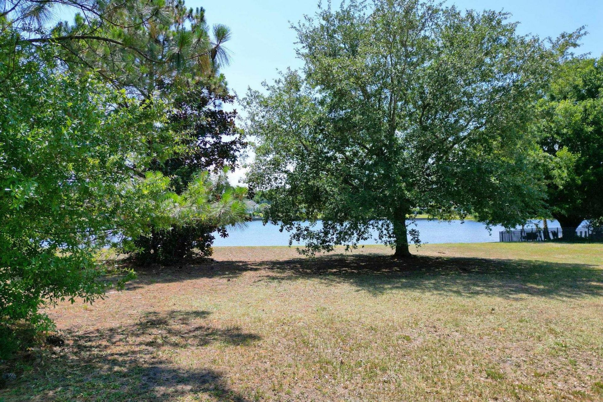 1113 Glossy Ibis Dr. Photo 19