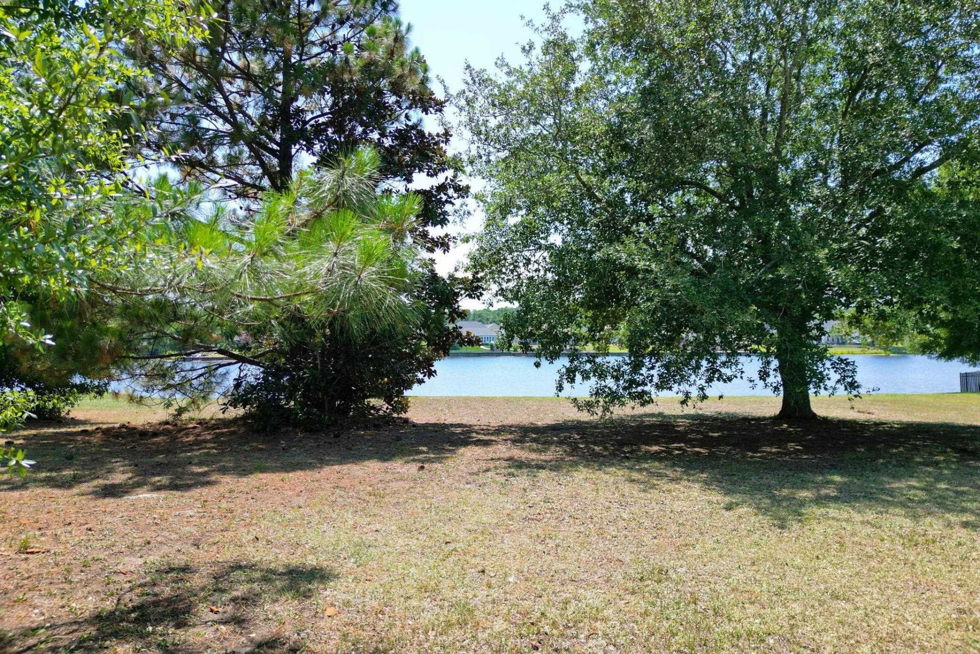 1113 Glossy Ibis Dr.  Photo 20
