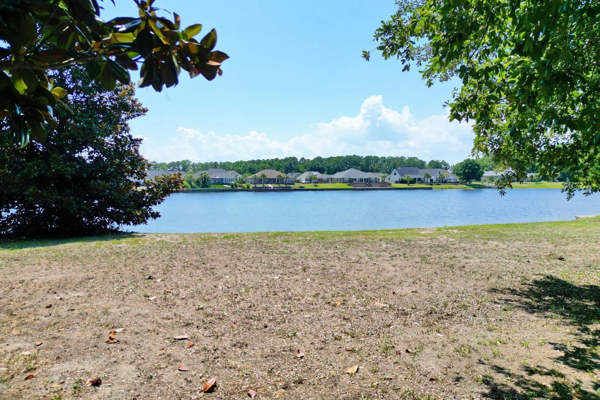 1113 Glossy Ibis Dr.  Photo 22