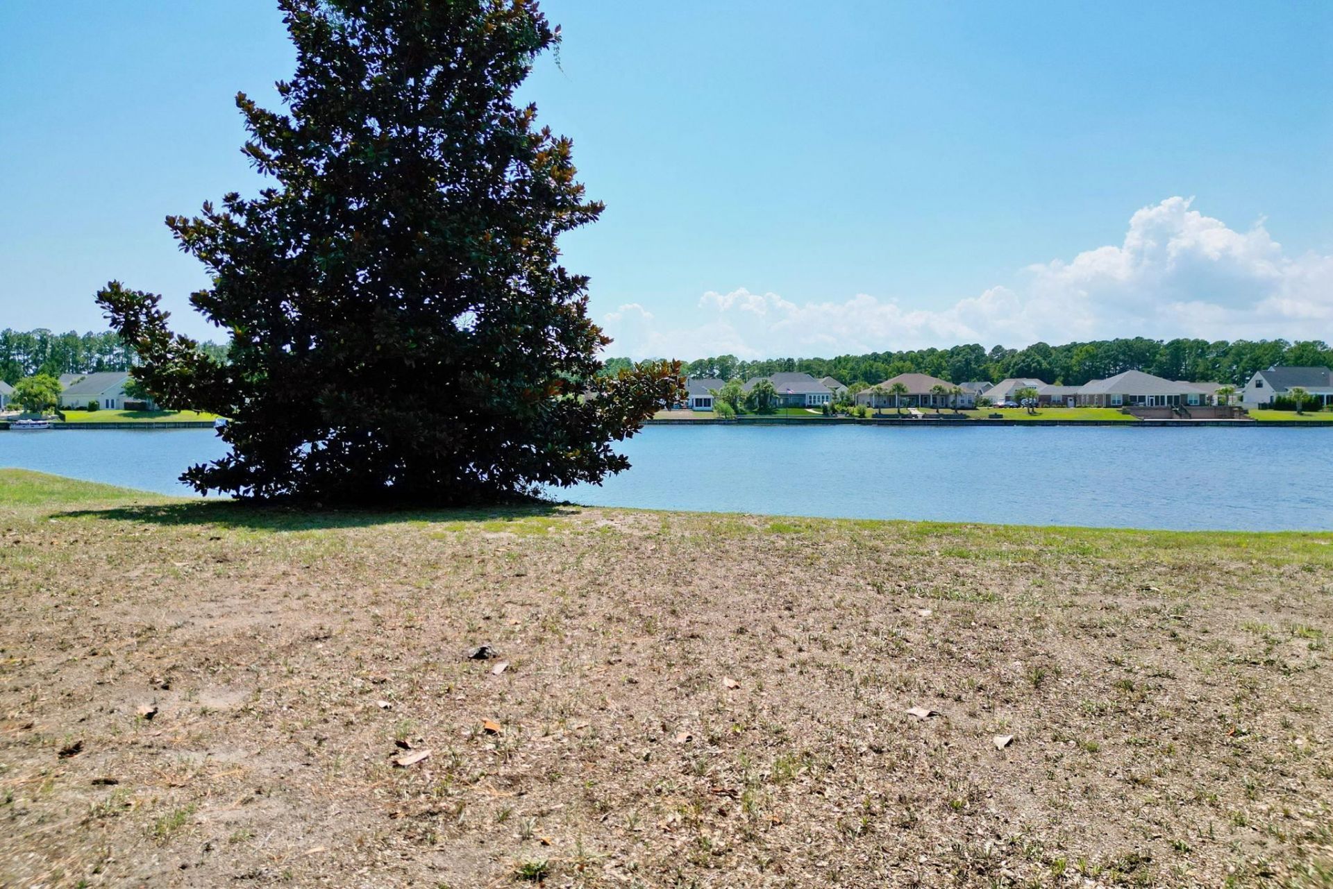 1113 Glossy Ibis Dr.  Photo 25