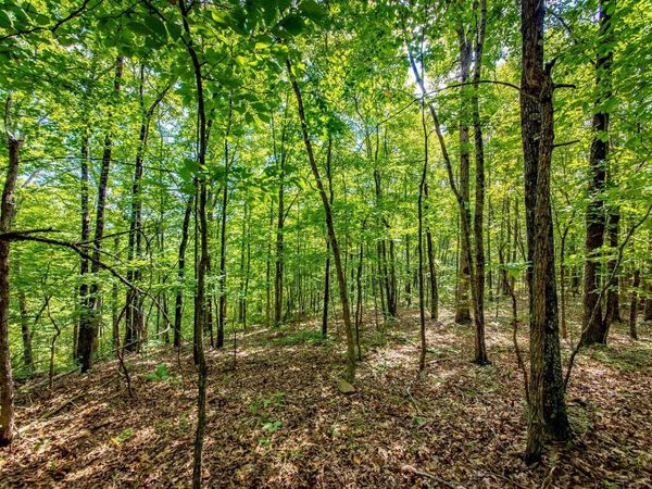 Highway 16 West, Crabtree, AR 72031