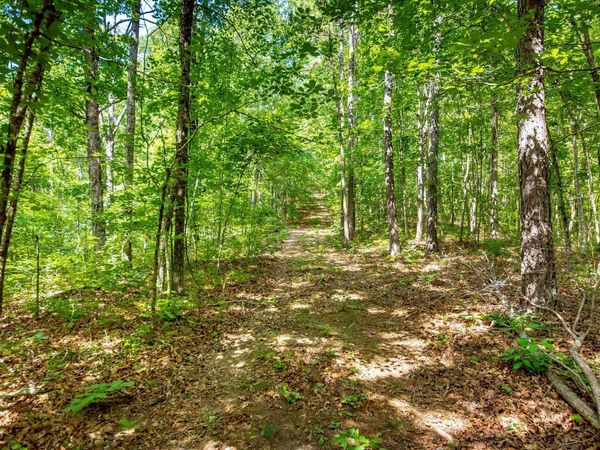Highway 16 West, Crabtree, AR 72031
