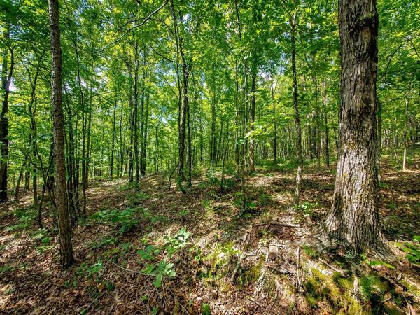 Highway 16 West , Crabtree, AR 72031