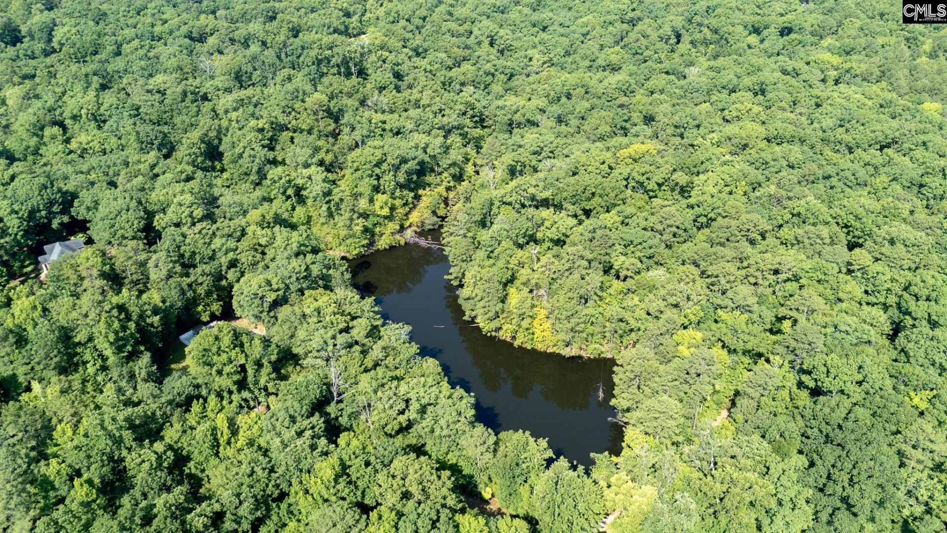 131 Misty Mountain Lane  Photo 60