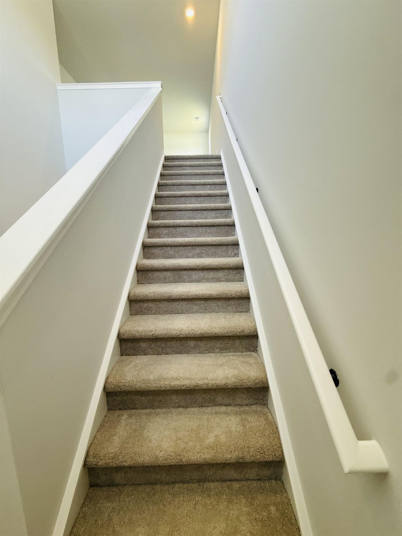 360 Sweet Vernal St Photo 10