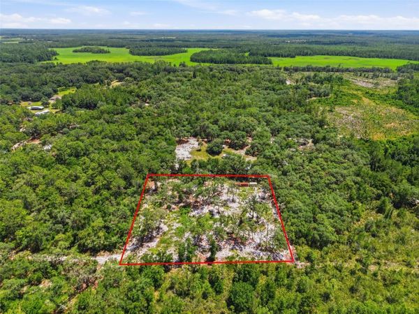 6900 NE 195TH STREET , CITRA, FL 32113