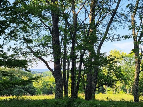 Lot 1.35 W Shore Road , Bethel, NY 12720