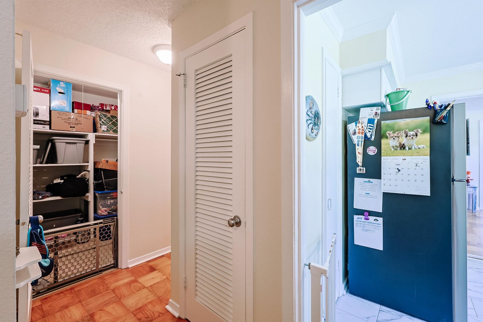 854 Pampas Dr.  Photo 20