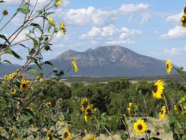 18 Thunder Hawk, Tijeras, NM 87059
