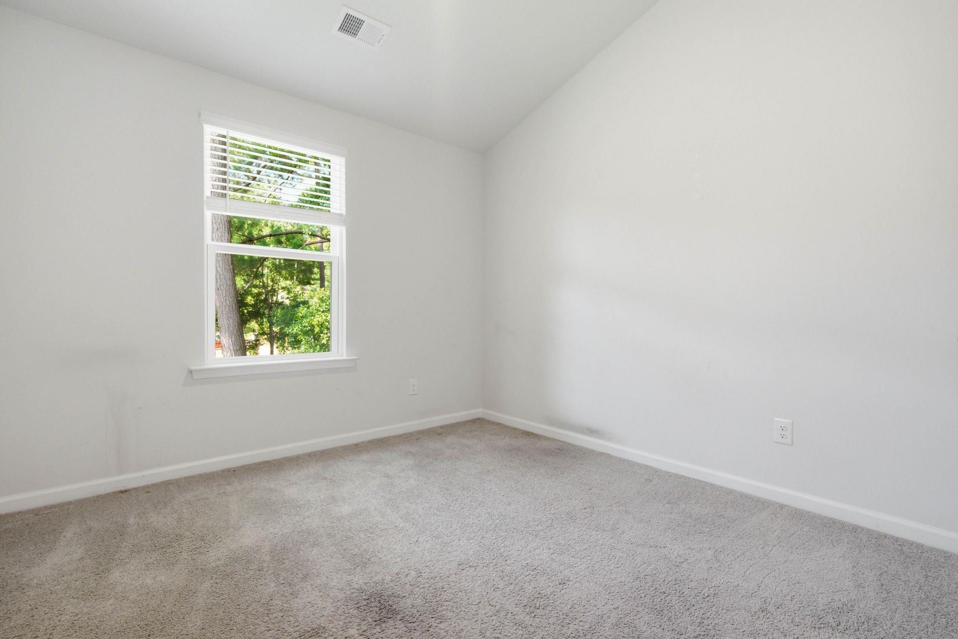181 Orchid Bloom Circle Photo 23