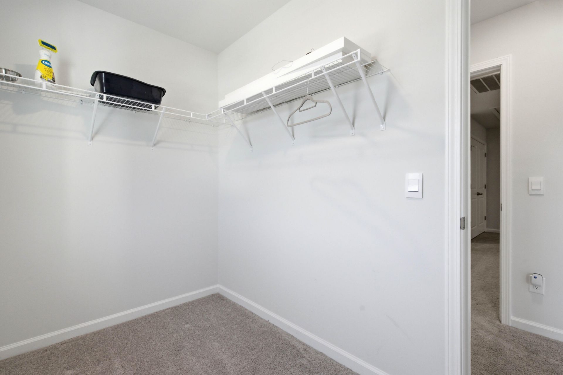 181 Orchid Bloom Circle Photo 35