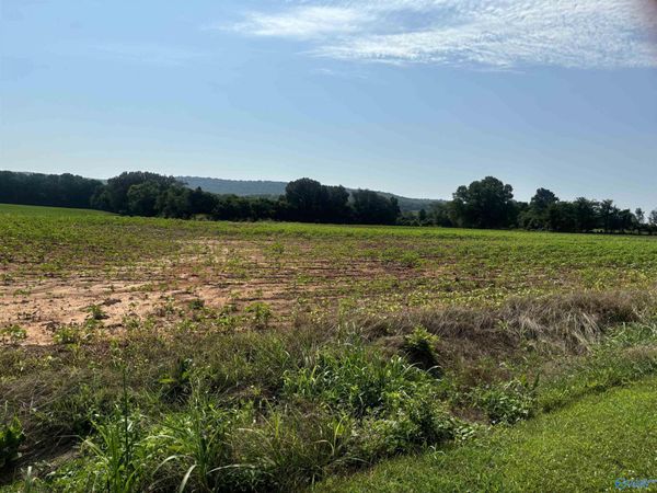 37ac Steele Lane, New Market, AL 35761