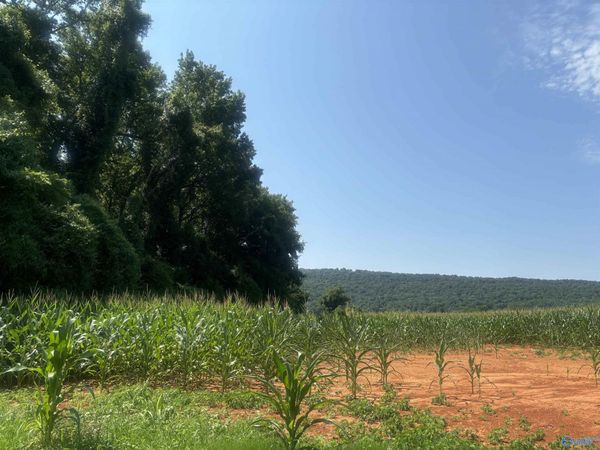 99AC Simmons Lane, New Market, AL 35761