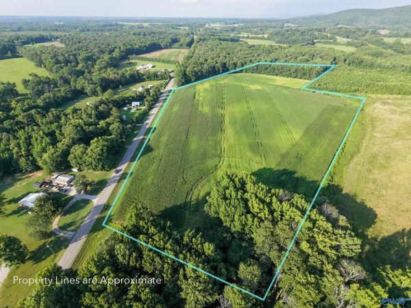 8204 Winchester Road, New Market, AL 35761