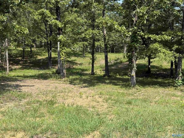 1 County Road 819, Cedar Bluff, AL 35959