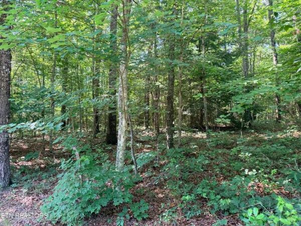 390 Georgee Rd, Jamestown, TN 38556