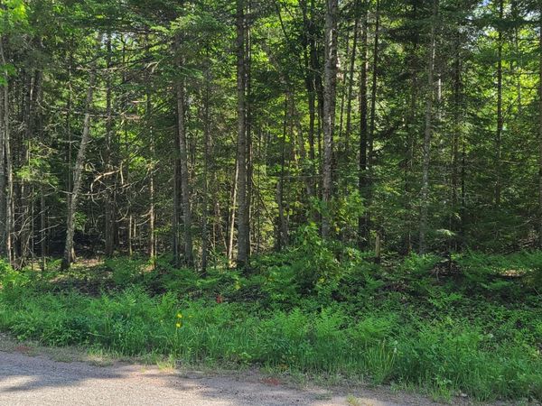 LOT #9 PWS W CEDAR DR, Sault Ste Marie, MI 49783