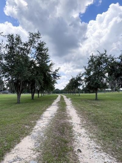 12601 Double Run Rd , Astatula, FL 34705 Photo