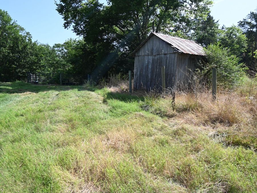 Property Image 39