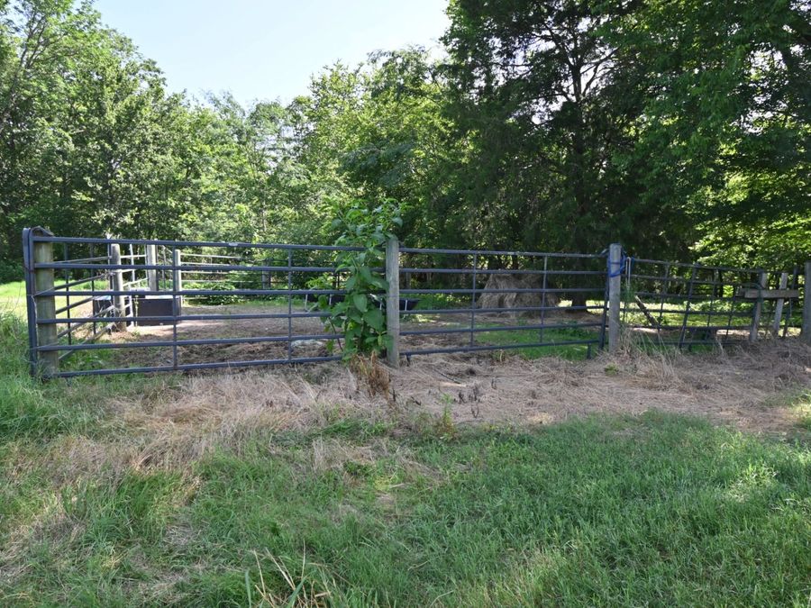Property Image 41