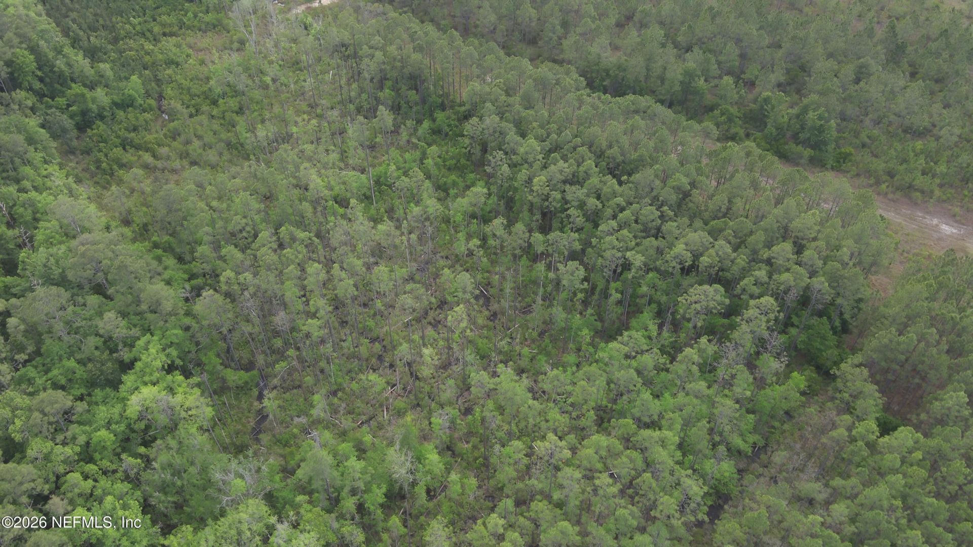 0 Us Highway 301, Jacksonville, FL 32068 Photo