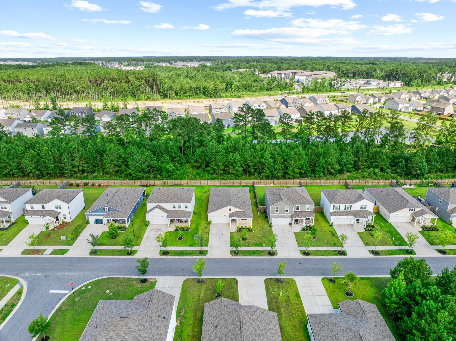 293 W Bradford Pointe Drive Photo 4
