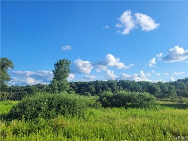 0 Route 394, Randolph, NY 14772