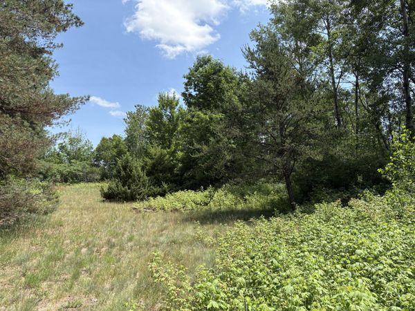 vl S 210th Avenue, Reed City, MI 49677