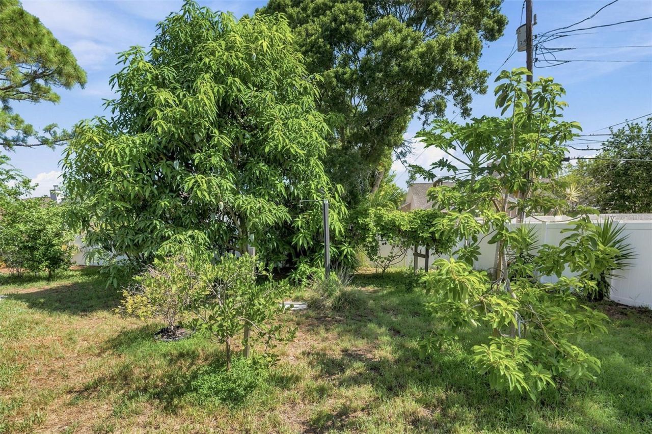 14297 Geneva Drive, Largo, FL 33774 Photo