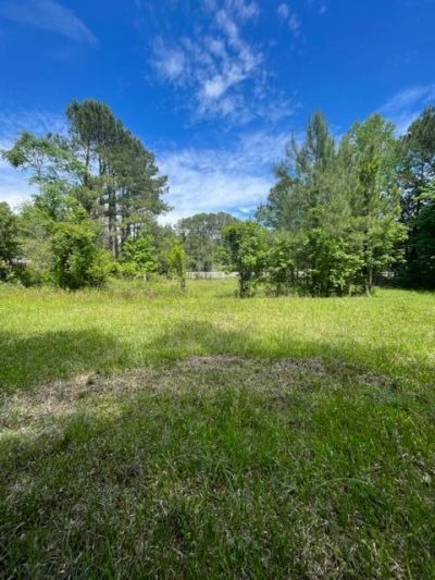 7477 N Highway 17 Photo 7