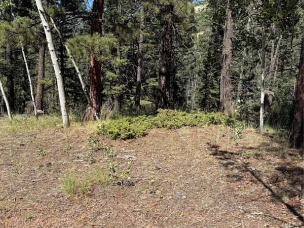1007 Derby Drive, Cripple Creek, CO 80813