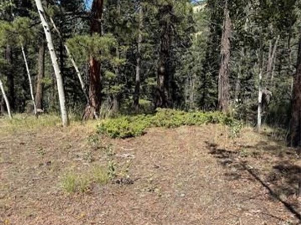 1007 Derby Drive, Cripple Creek, CO 80813