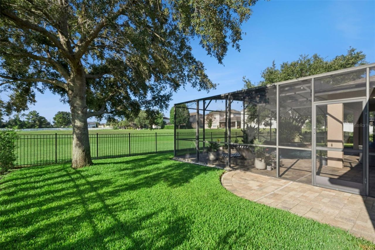 453 Torgiano Drive, Ocoee, FL 34761 Photo