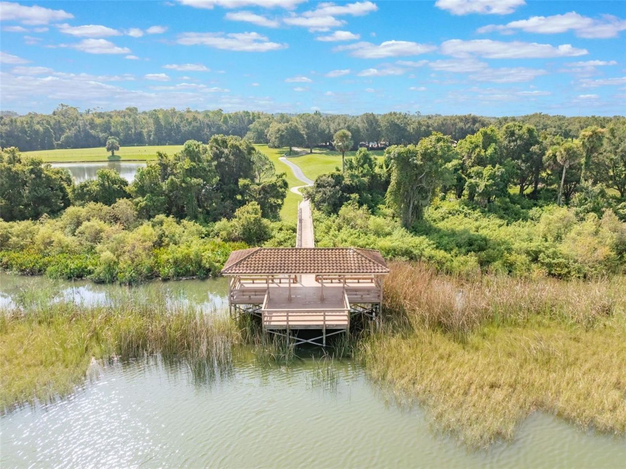 453 Torgiano Drive, Ocoee, FL 34761 Photo
