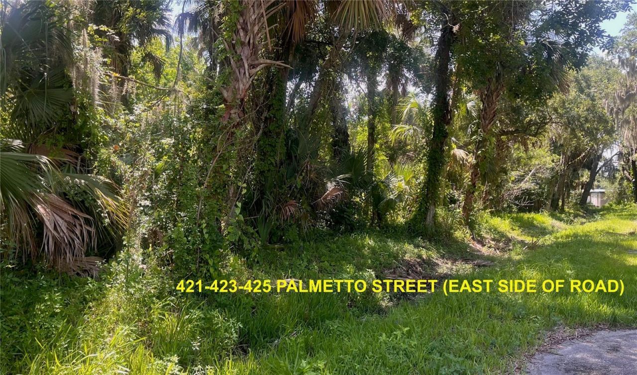 420-428 Palmetto Street, Edgewater, FL 32132 Photo