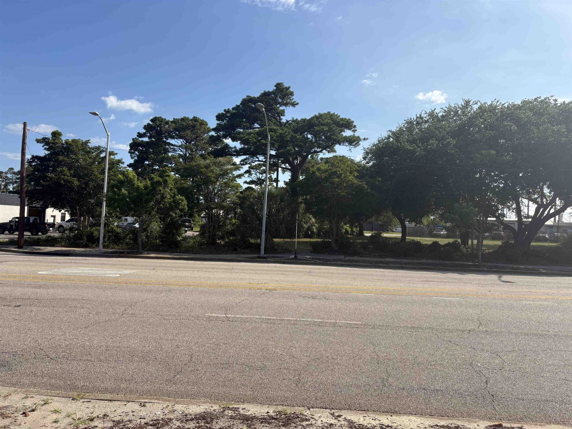 815 Highway 501 Photo 6