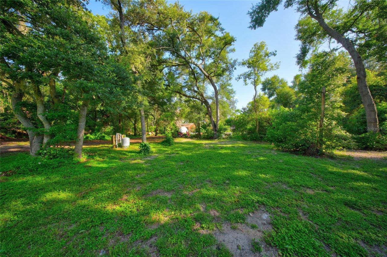 908 Oak Hollow Place , Brandon, FL 33510 Photo