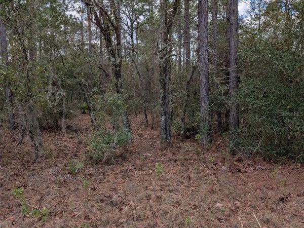 0 SW 90TH STREET , DUNNELLON, FL 34432