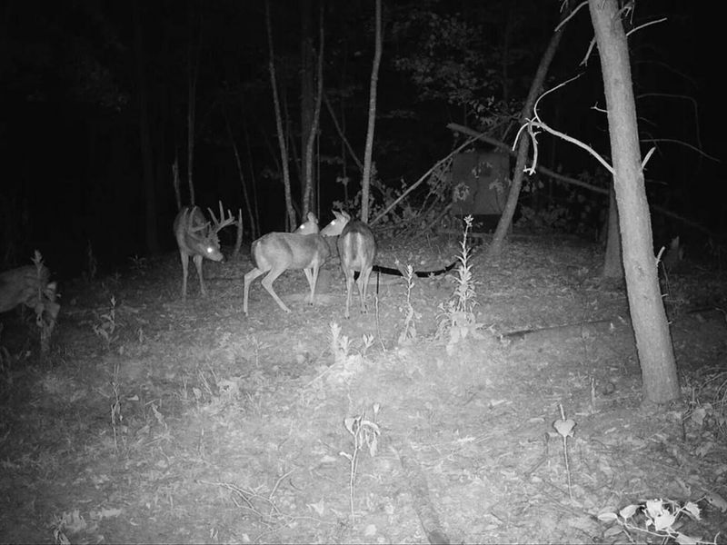0 Hinkley Hollow Rd, Portsmouth, OH 45662 Photo 33